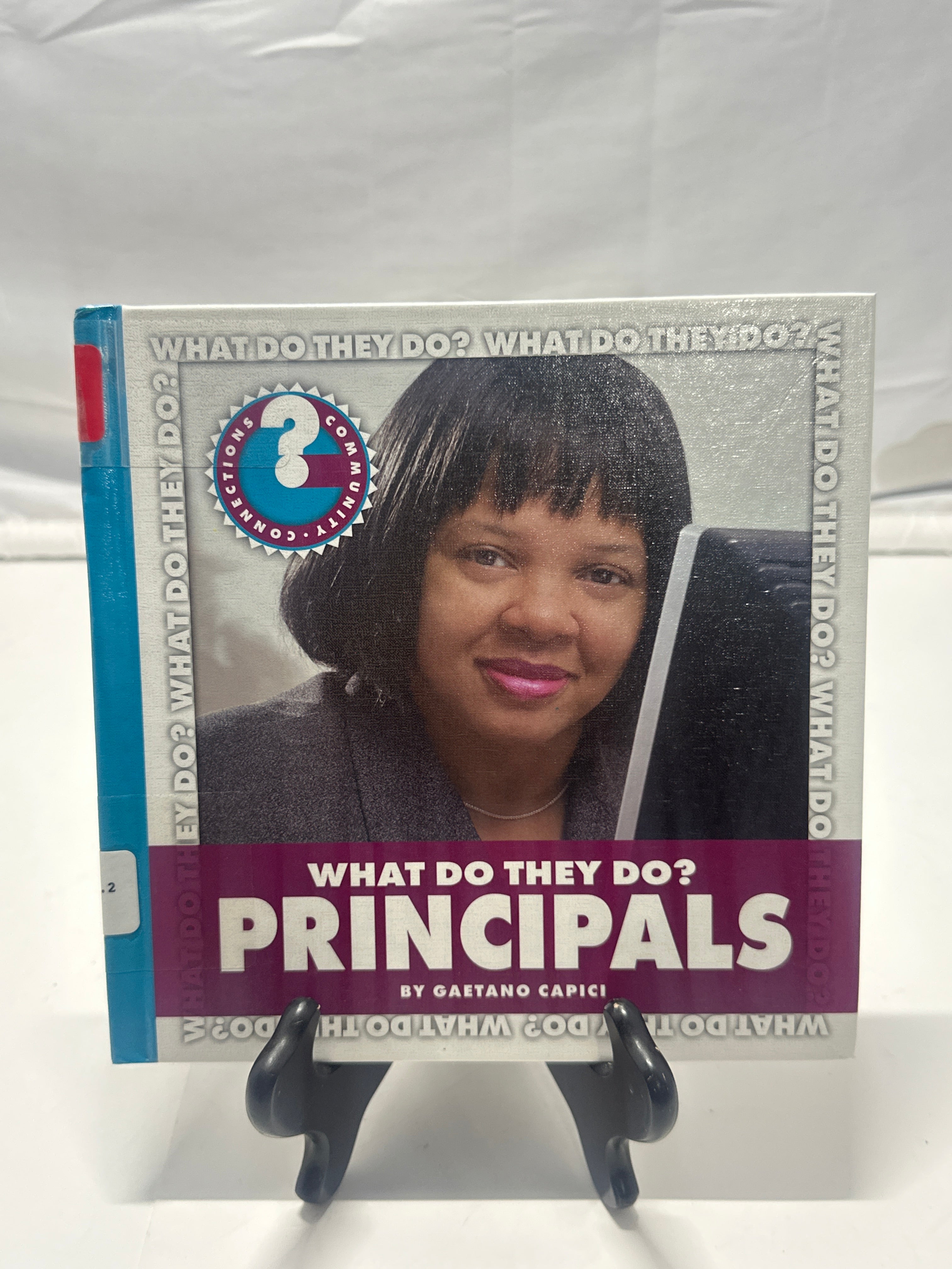 What do they do? principals by Gaetano Capici Hardcover