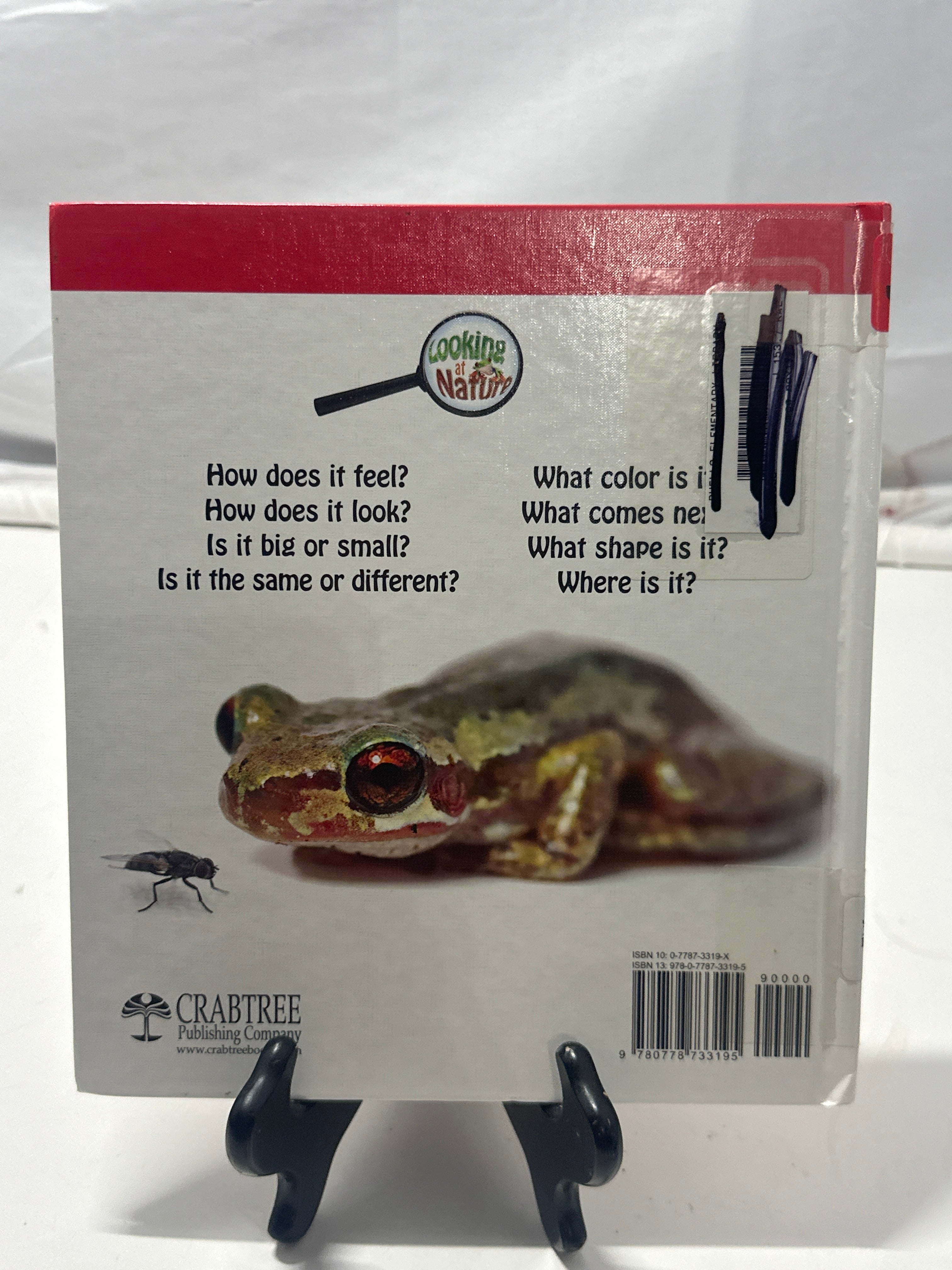 What Comes Next? (Looking at Nature) by Bobbie Kalman Hardcover