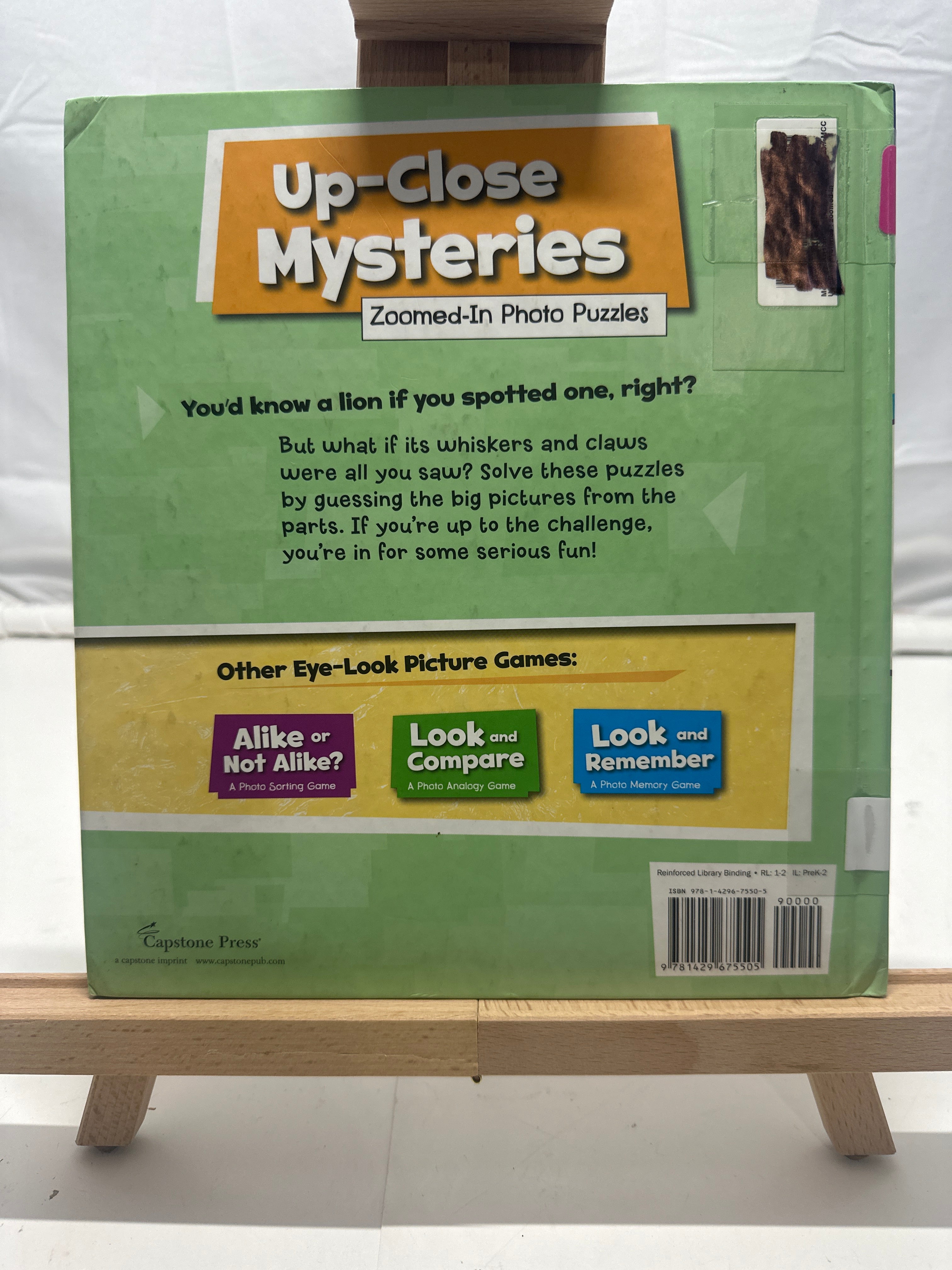 Up-Close Mysteries by Kristen McCurry Hardcover