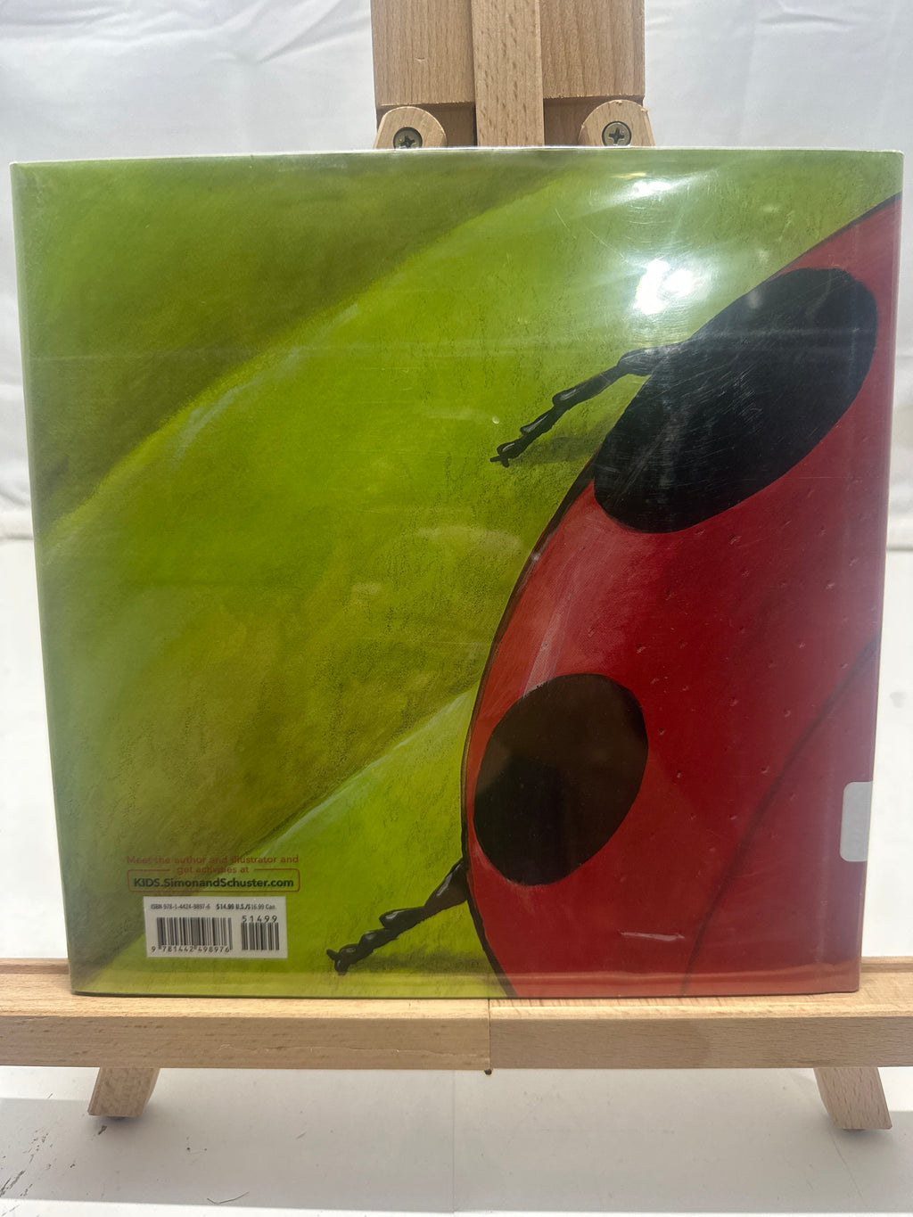 Big Bug by Henry Cole Hardcover