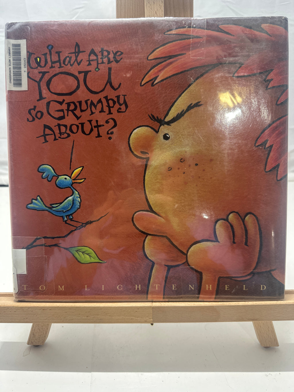 What are You So Grumpy About? by Tom Lichtenheld Hardcover