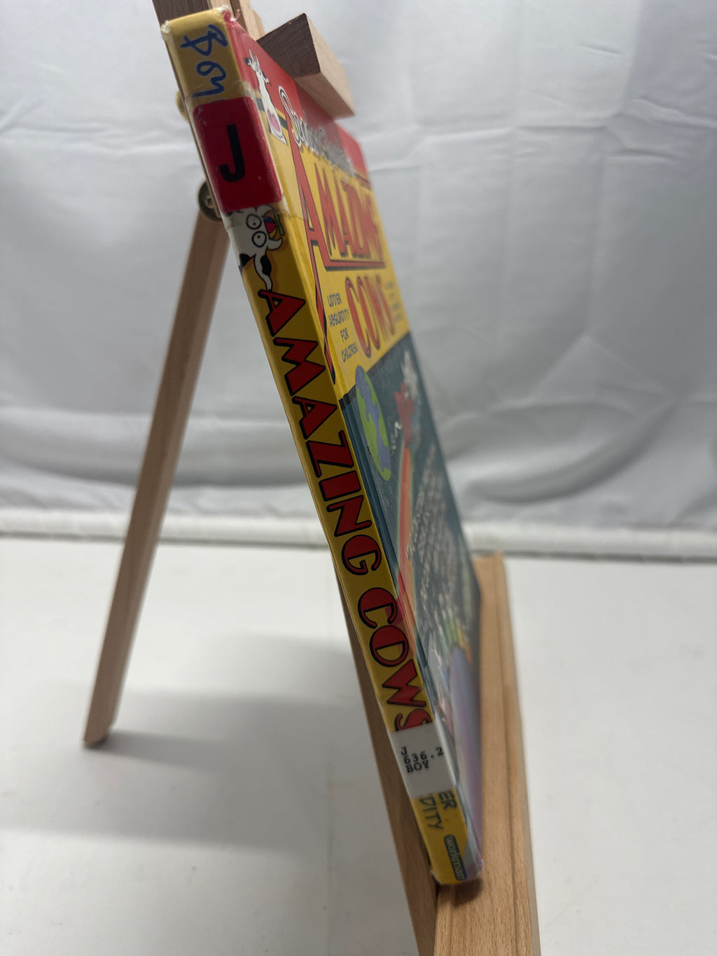 Amazing Cows by Sandra Boynton Hardcover