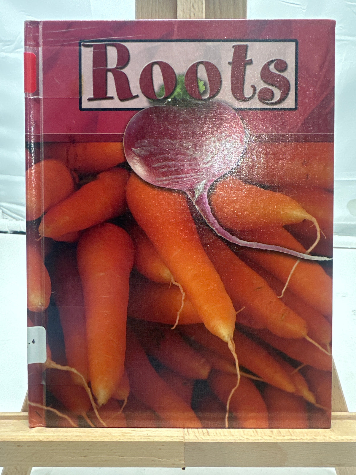 Roots by Lynn Stone Hardcover