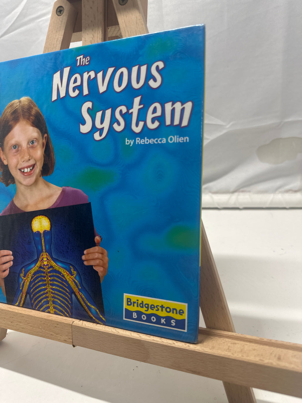 The Nervous System by Rebecca Olien Hardcover