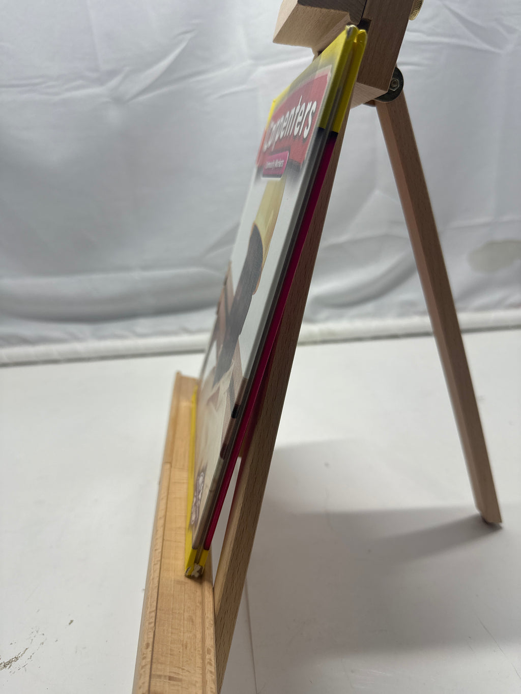 Carpenters (Community Workers) Hardcover