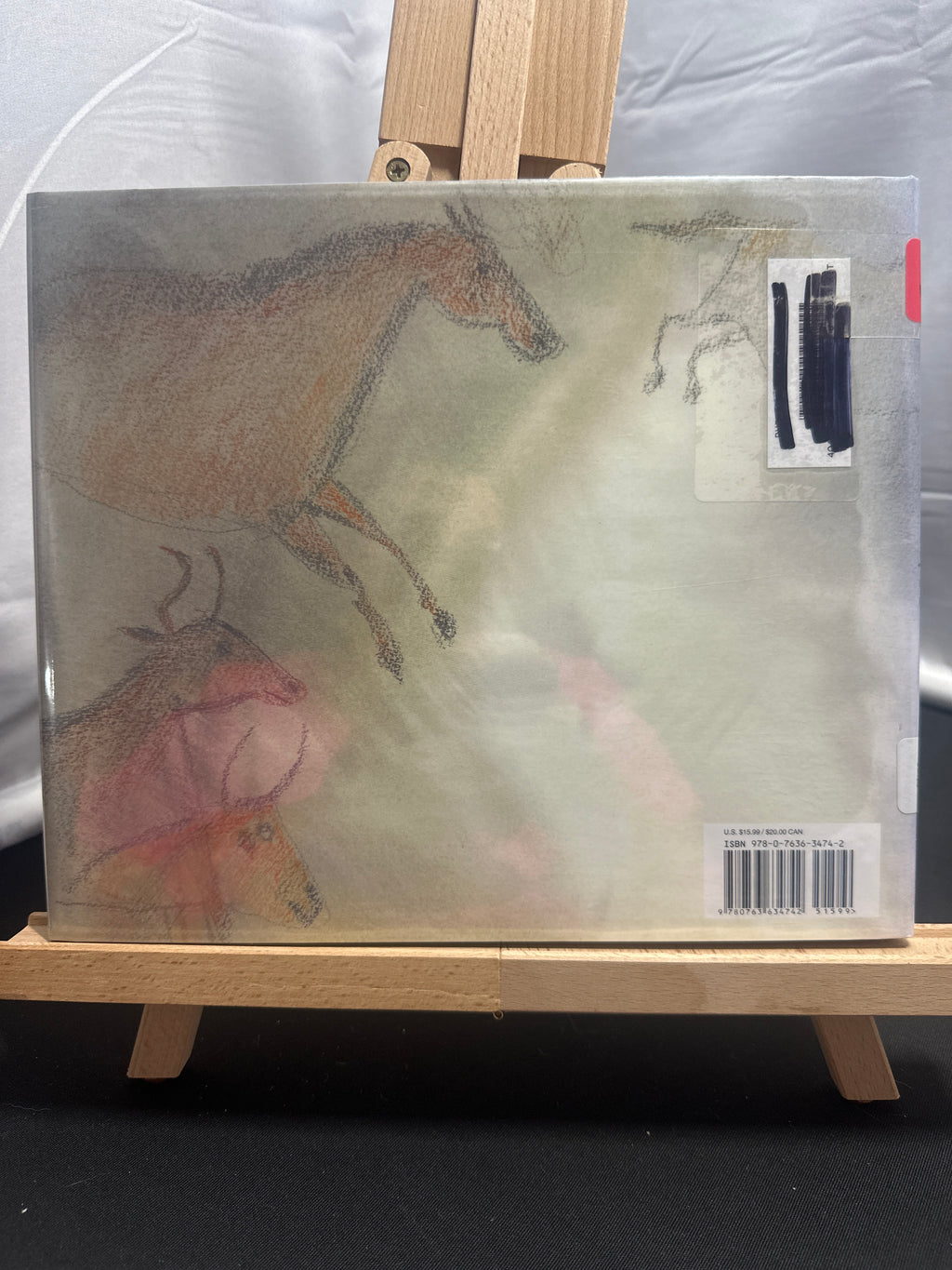 Stone Age Boy by Satoshi Kitamura Hardcover