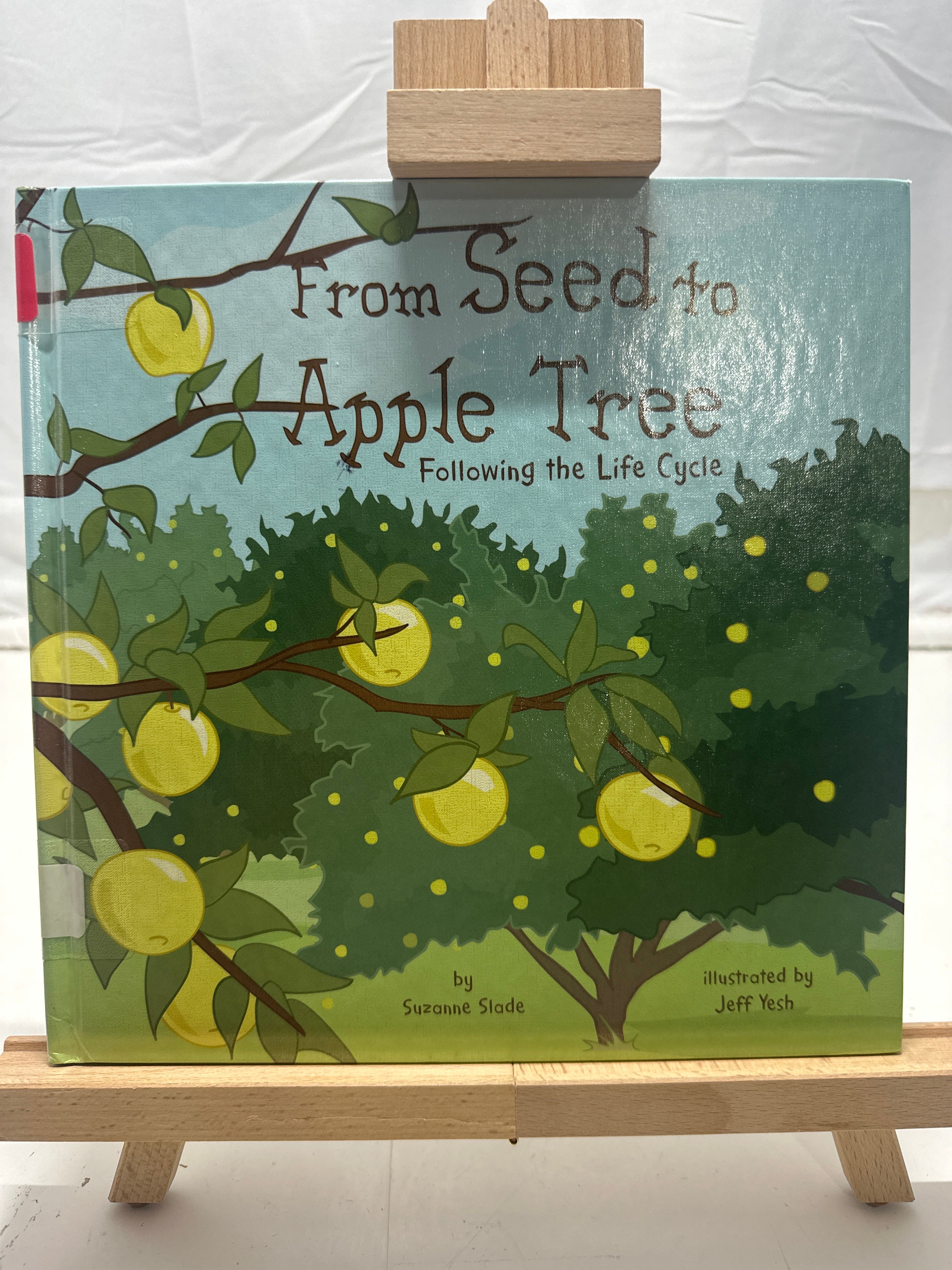 From seed to apple tree by Suzanne Slade Hardcover Children's Book