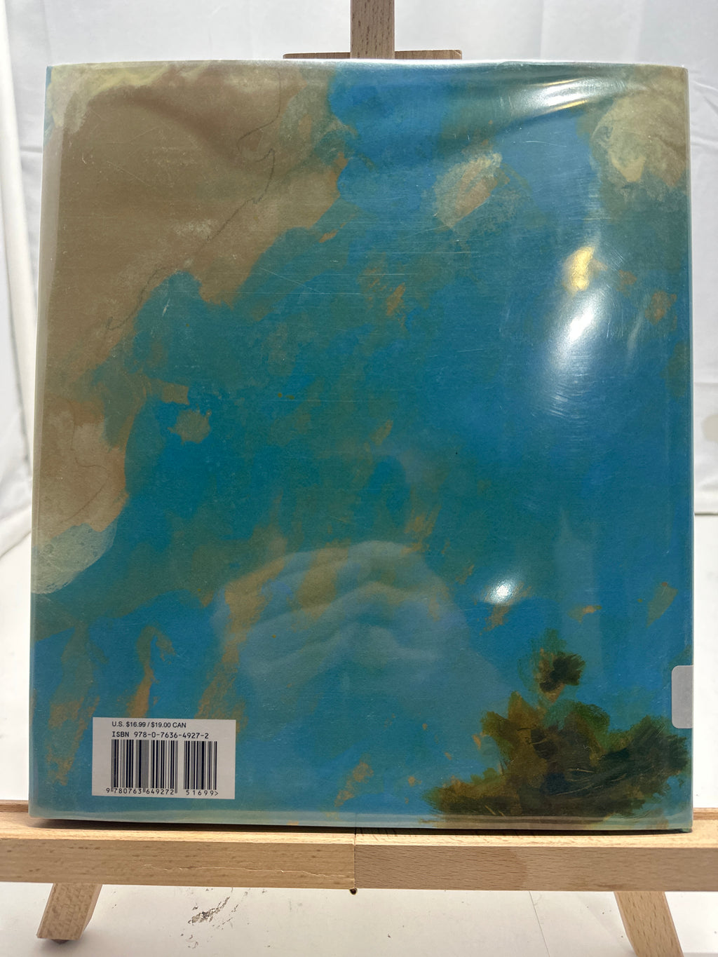 Sammy in the Sky by Barbara Ann Walsh Hardcover