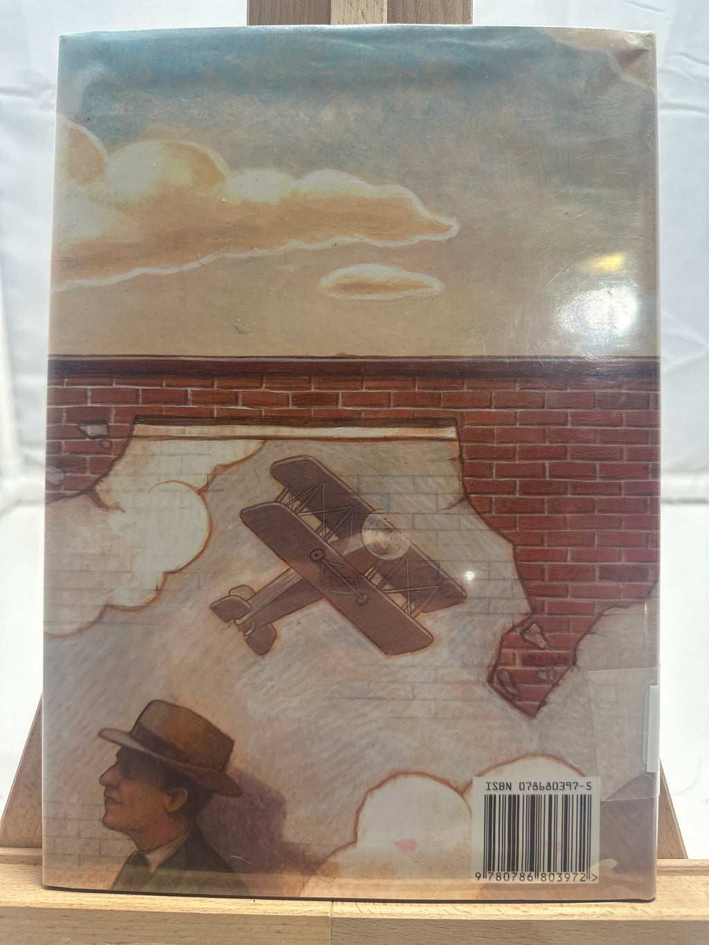 Wingwalker by Rosemary Wells Hardcover
