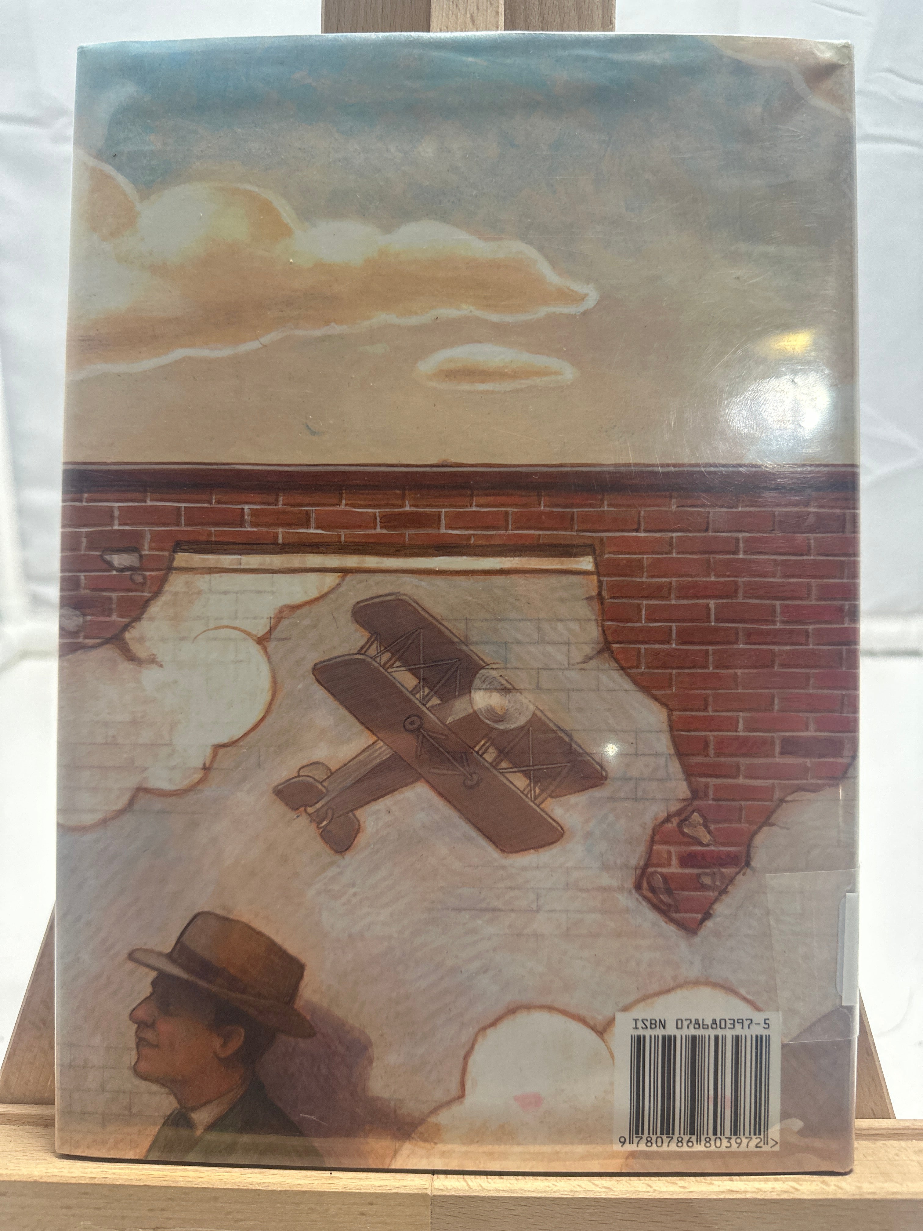 Wingwalker by Rosemary Wells Hardcover