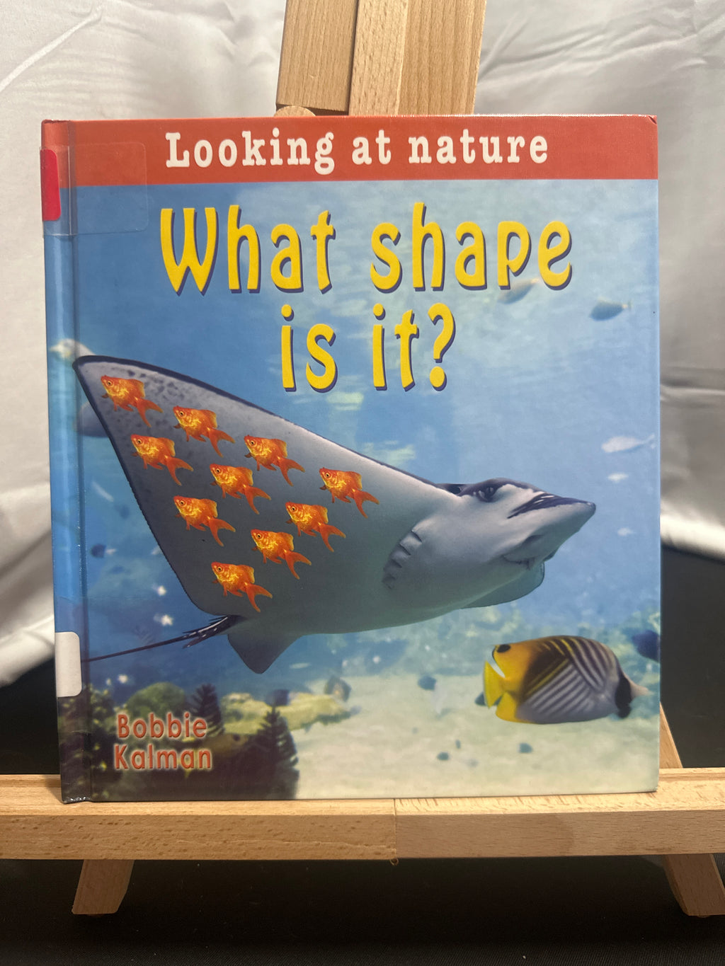 What Shape Is It? (Looking at Nature) by Bobbie Kalman Hardcover
