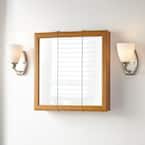 24 in. W x 24 in. H Rectangular Medicine Cabinet with Mirror